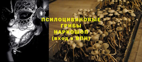 спиды Алексин