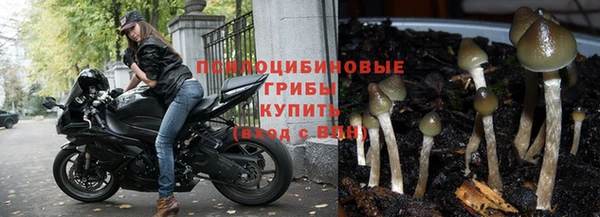 спиды Алексин